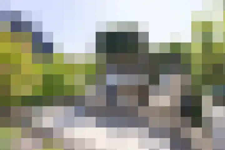 Schapenweide 12 Zwaag thumbnail 35
