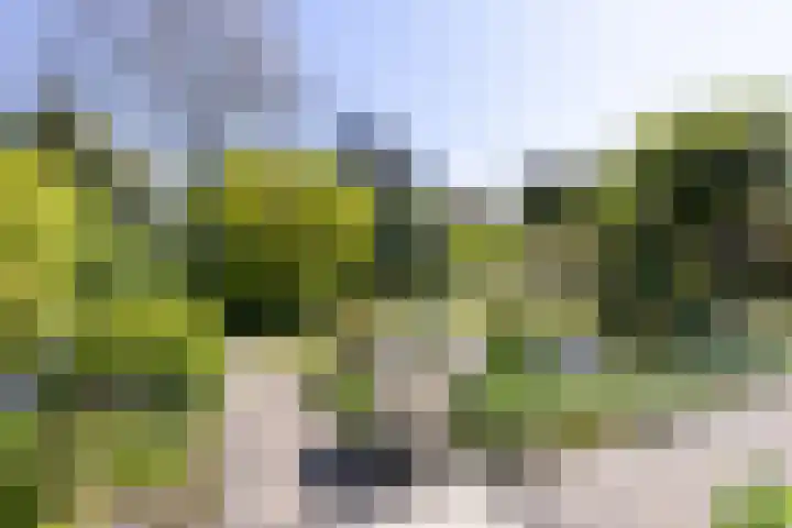 Schapenweide 12 Zwaag thumbnail 36