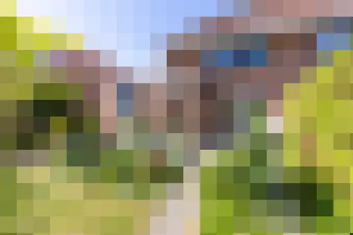 Schapenweide 12 Zwaag thumbnail 38