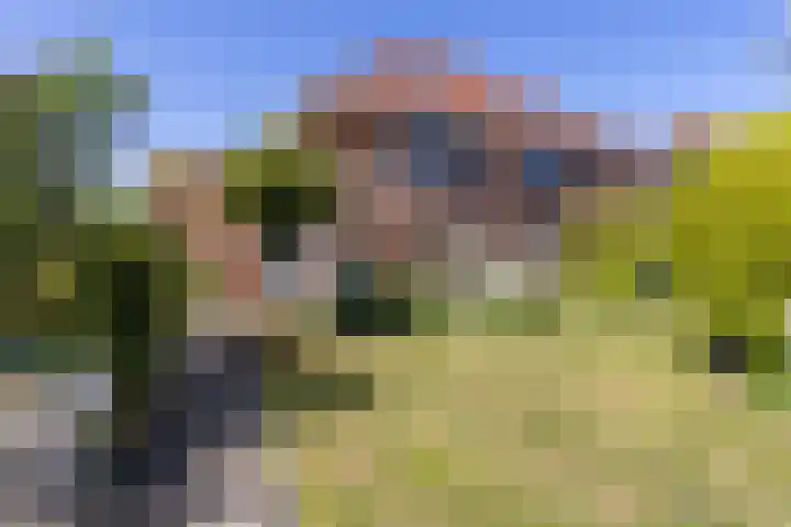 Schapenweide 12 Zwaag thumbnail 39