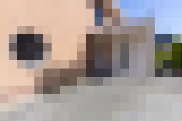 Schapenweide 12 Zwaag thumbnail 4