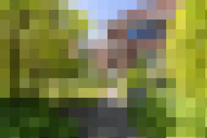 Schapenweide 12 Zwaag thumbnail 40