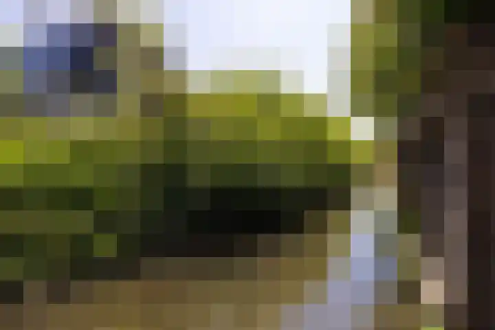 Schapenweide 12 Zwaag thumbnail 41