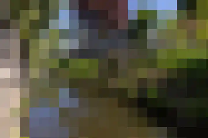 Schapenweide 12 Zwaag thumbnail 42