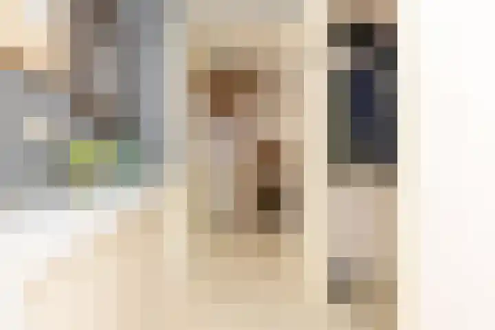 Schapenweide 12 Zwaag thumbnail 5