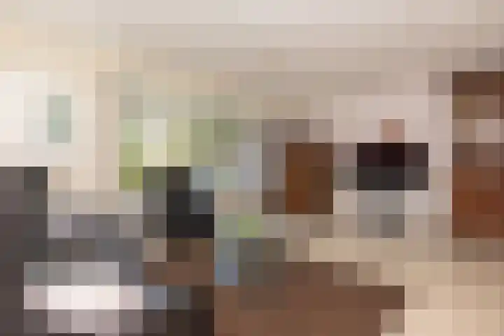 Schapenweide 12 Zwaag thumbnail 7