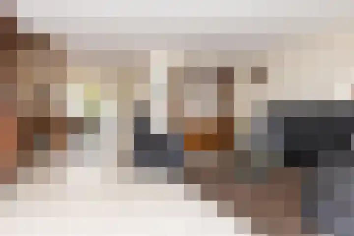 Schapenweide 12 Zwaag thumbnail 8