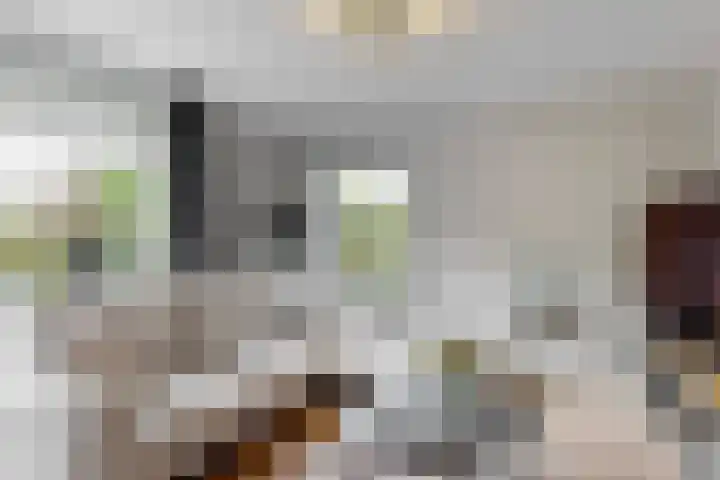 Schapenweide 13 Leiderdorp thumbnail 10