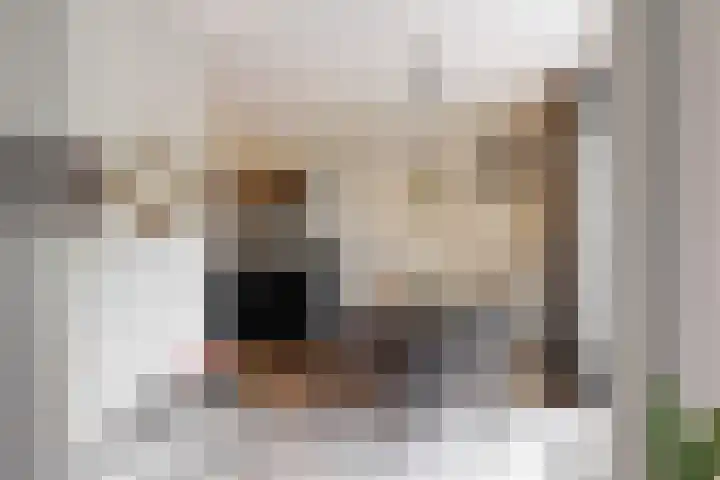 Schapenweide 13 Leiderdorp thumbnail 11