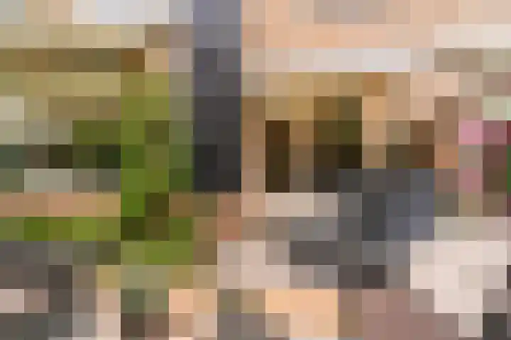 Schapenweide 13 Leiderdorp thumbnail 32