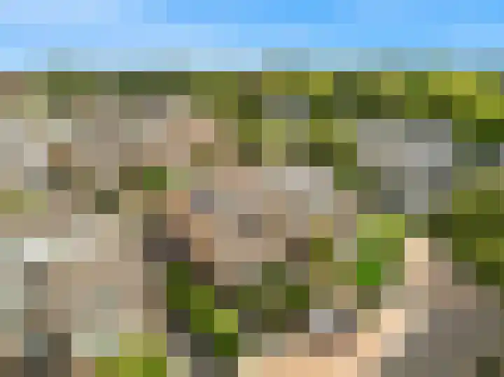 Schapenweide 13 Leiderdorp thumbnail 37