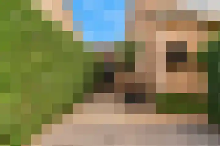 Schapenweide 13 Leiderdorp thumbnail 4