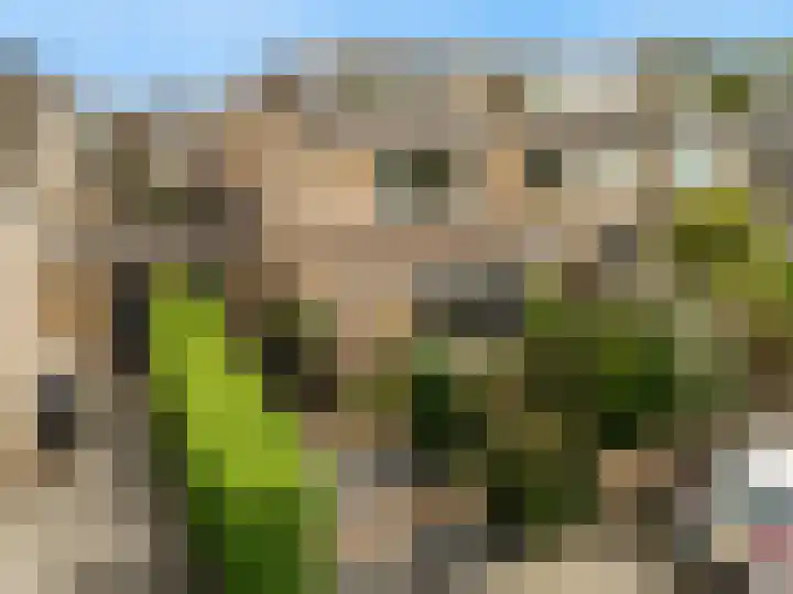 Schapenweide 13 Leiderdorp thumbnail 41