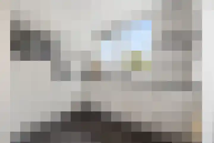 Schapenweide 157 Duiven thumbnail 12