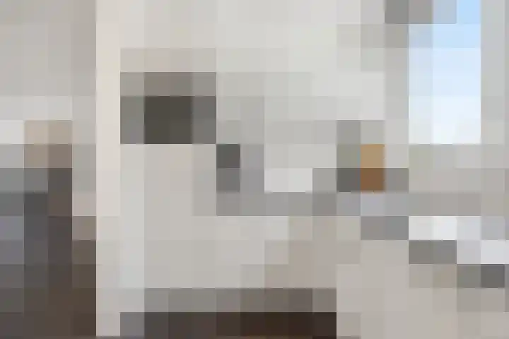 Schapenweide 157 Duiven thumbnail 13