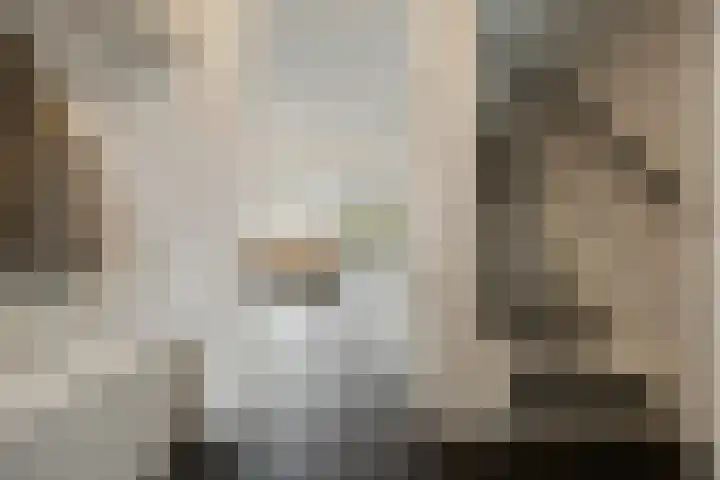 Schapenweide 157 Duiven thumbnail 15