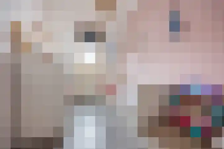 Schapenweide 157 Duiven thumbnail 16