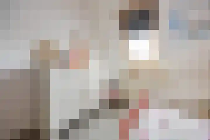 Schapenweide 157 Duiven thumbnail 17