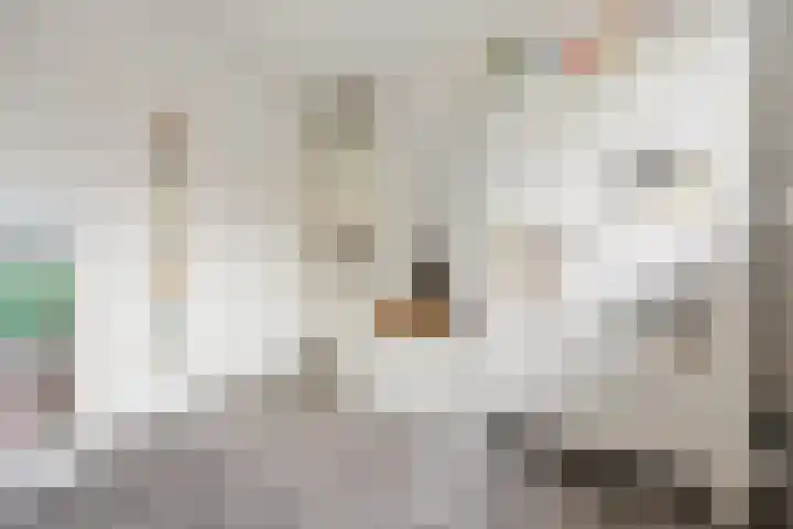 Schapenweide 157 Duiven thumbnail 24