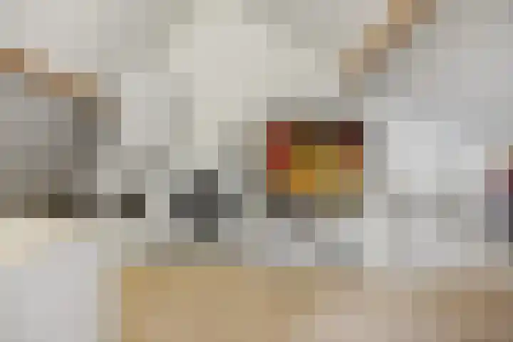 Schapenweide 157 Duiven thumbnail 30