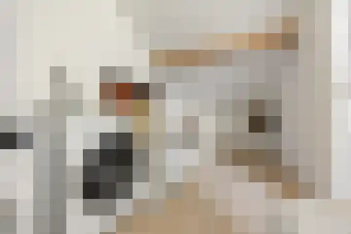 Schapenweide 157 Duiven thumbnail 31
