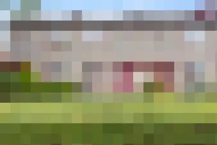 Schapenweide 157 Duiven thumbnail 40