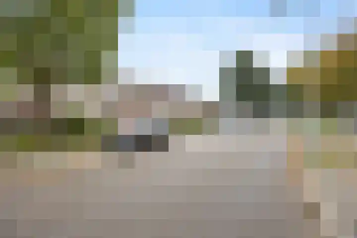 Schapenweide 157 Duiven thumbnail 43