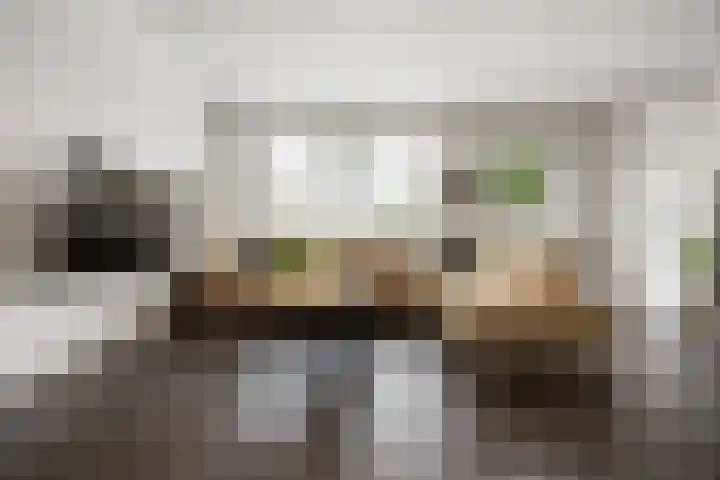 Schapenweide 157 Duiven thumbnail 6
