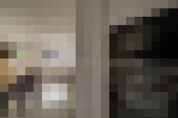 Schapenweide 16 Leiderdorp thumbnail 12