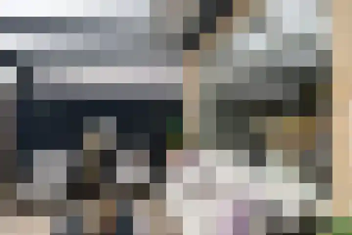 Schapenweide 16 Leiderdorp thumbnail 15