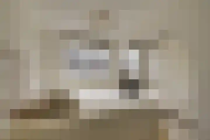 Schapenweide 16 Leiderdorp thumbnail 17