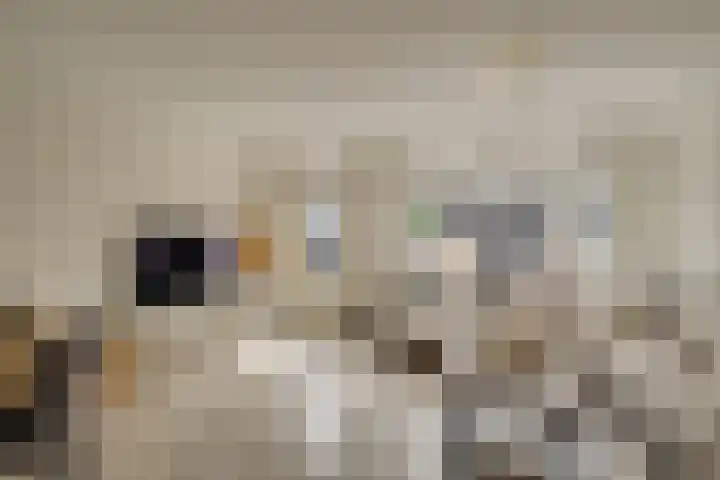 Schapenweide 16 Leiderdorp thumbnail 6
