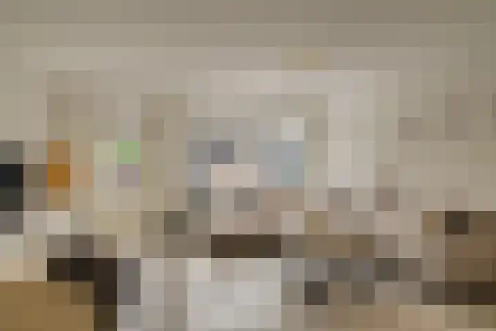 Schapenweide 16 Leiderdorp thumbnail 8