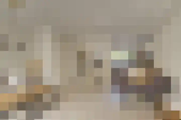 Schapenweide 16 Leiderdorp thumbnail 9