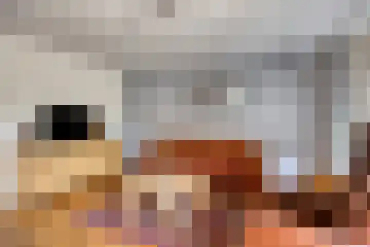 Schapenweide 174 Duiven thumbnail 15
