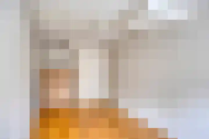 Schapenweide 174 Duiven thumbnail 23
