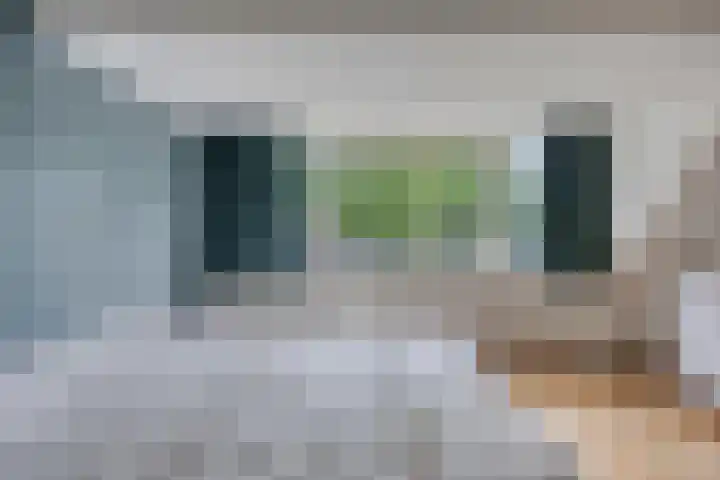 Schapenweide 174 Duiven thumbnail 26