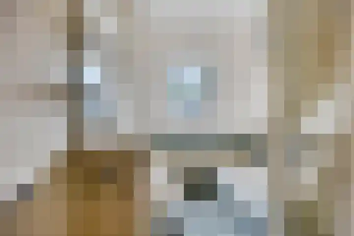 Schapenweide 174 Duiven thumbnail 28