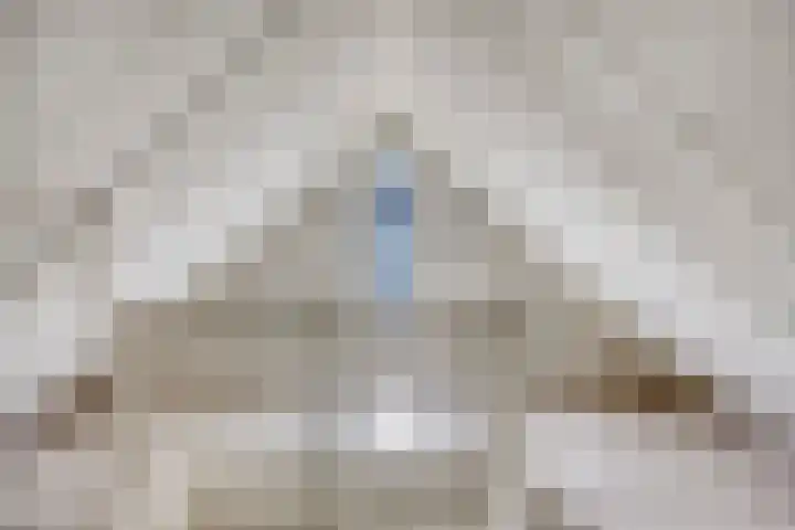 Schapenweide 174 Duiven thumbnail 39