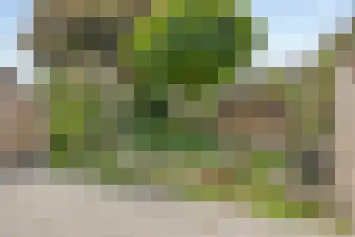 Schapenweide 174 Duiven thumbnail 4