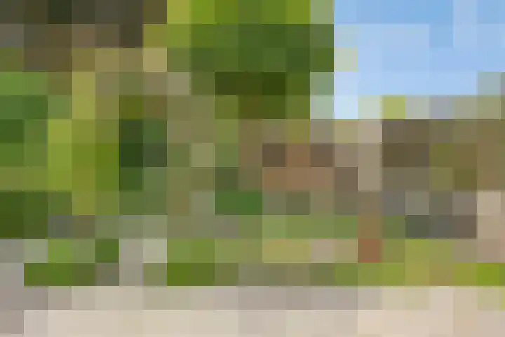 Schapenweide 174 Duiven thumbnail 41