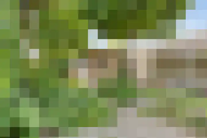 Schapenweide 174 Duiven thumbnail 43