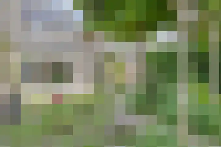 Schapenweide 174 Duiven thumbnail 44