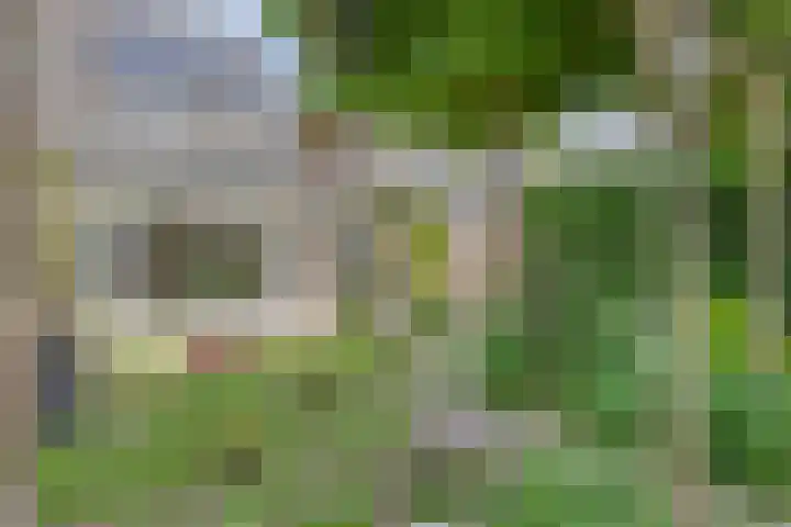 Schapenweide 174 Duiven thumbnail 45