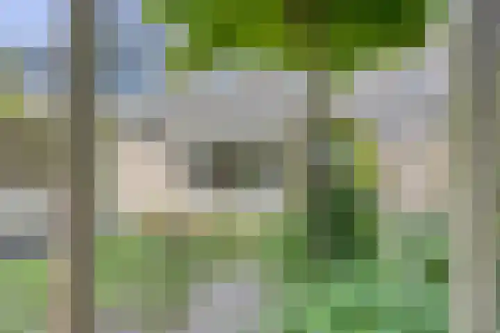 Schapenweide 174 Duiven thumbnail 46