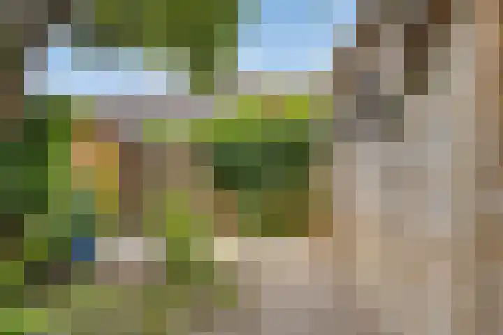 Schapenweide 174 Duiven thumbnail 47