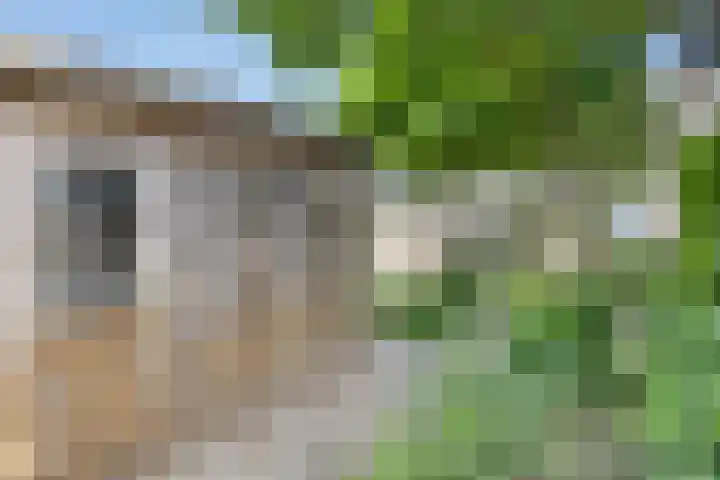 Schapenweide 174 Duiven thumbnail 48