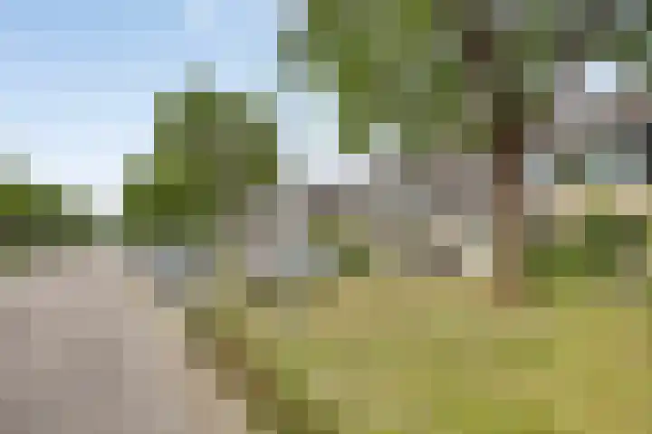 Schapenweide 174 Duiven thumbnail 5