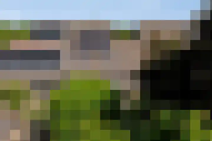 Schapenweide 174 Duiven thumbnail 52