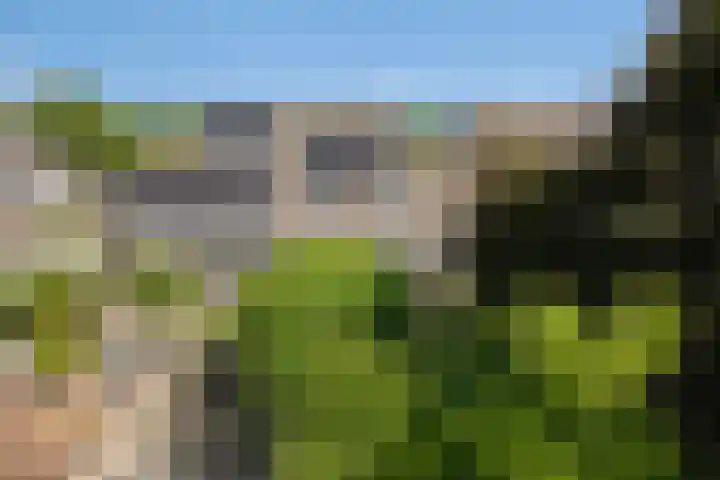 Schapenweide 174 Duiven thumbnail 53